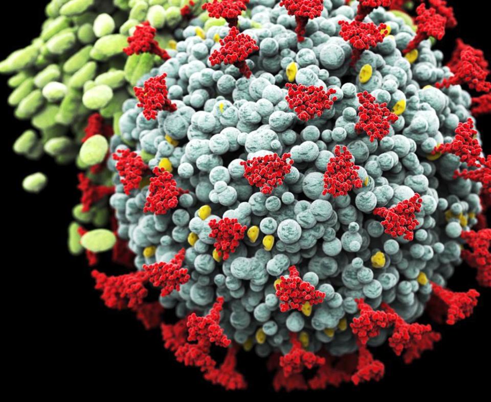 英國印度變種病毒近日確診率暴增，引起人心惶惶，不過根據一項研究指出，其實最危險的變種病毒並不是它。（示意圖／shutterstock）