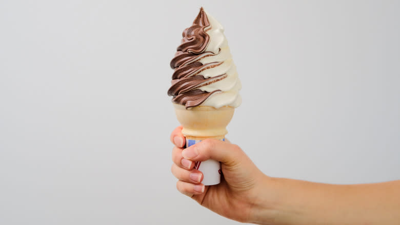 Chocolate vanilla twist cone