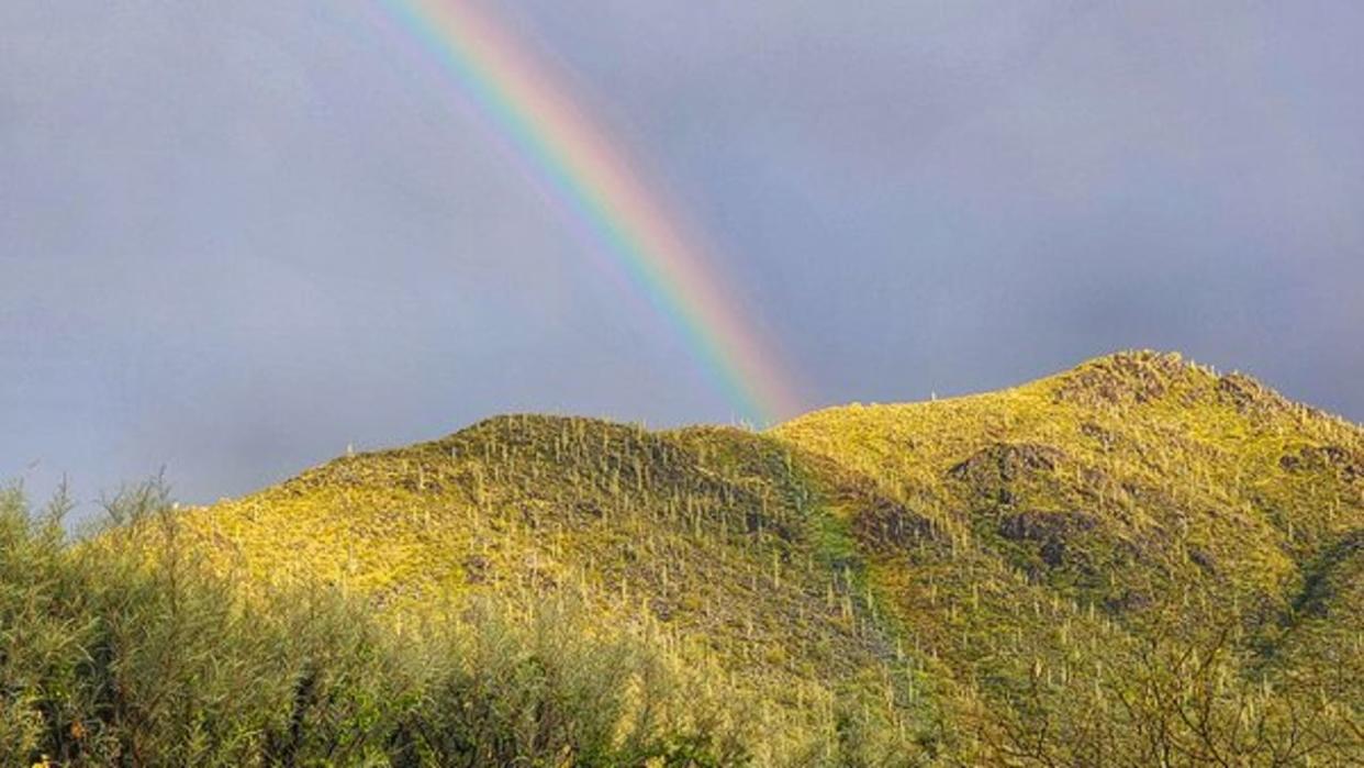 <div>This may not look like Arizona, but we can assure you that this IS Arizona! Thanks Stephanie Meier for taking this photo from Cave Creek!</div>