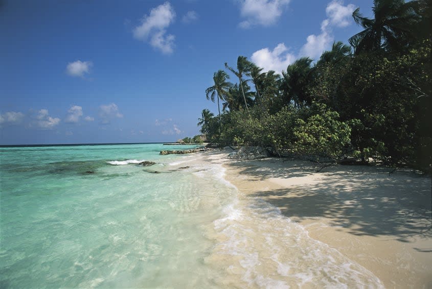 A beach in the Maldives