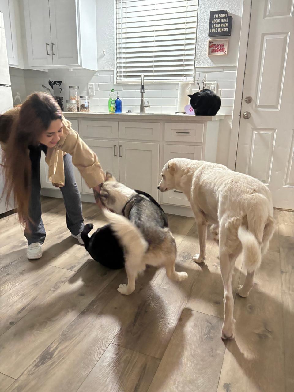 Kalista with her dogs, one of which chewed her prosthetic arm