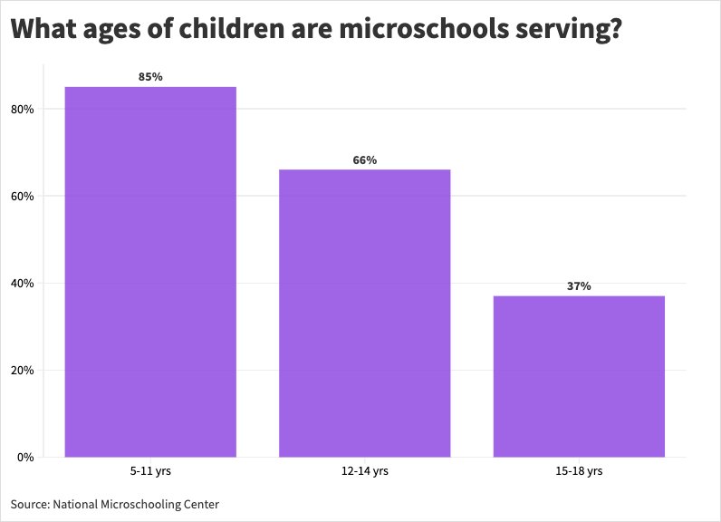 Microschools are more likely to serve elementary school-age students than older students, according to the latest analysis of the movement from the National Microschooling Center. (National Microschooling Center)