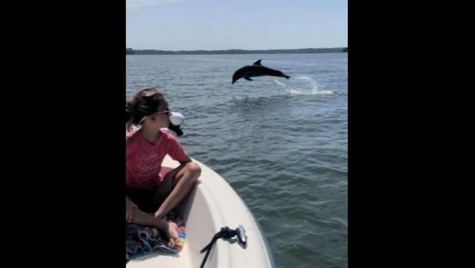 Michael Holt was in the right place at the right time to capture this photo of a dolphin playing in the May River.