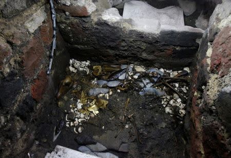 A view shows a site where a sacrificed young wolf elaborately adorned with some of the finest Aztec gold has been discovered adjacent to the Templo Mayor, one of the main Aztec temples, in Mexico City, Mexico June 22, 2017. Picture taken June 22, 2017. REUTERS/Henry Romero