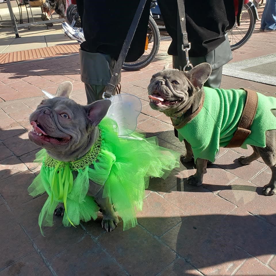 If you like seeing dogs and other pets in Halloween costumes, the Pets and Pumpkins Family Festival is for you.