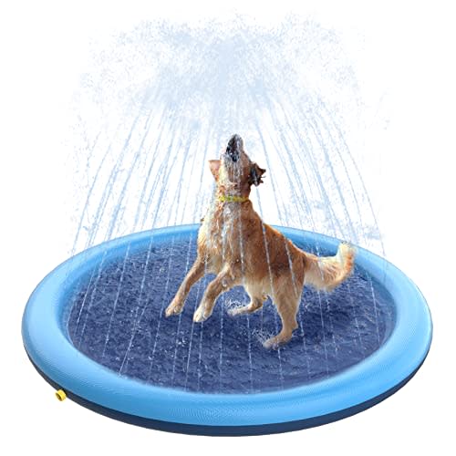 4) Peteast Splash Sprinkler Pad for Dogs