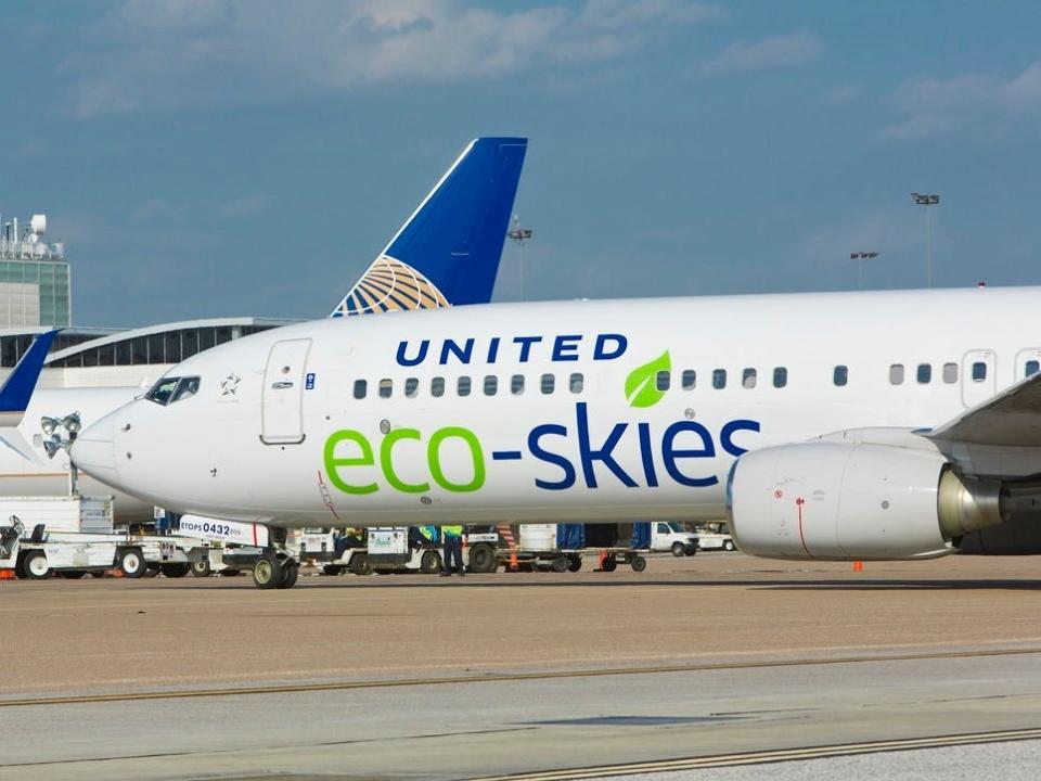 United Airlines Eco-Skies Boeing 737-900 aircraft livery.