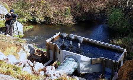 A supplied image shows a micro-hydro power unit that generates electricity to power the Marae and Iwi owned farming operation located on the Pokaitu stream at Kearoa Marae in New Zealand, August 1, 2014. Picture taken August 1, 2014. To match Analysis NEWZEALAND-ENERGY/ Eugene Berryman-Kamp/Handout via REUTERS ATTENTION EDITORS - THIS IMAGE WAS PROVIDED BY A THIRD PARTY. NO RESALES. NO ARCHIVE.