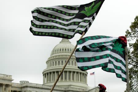 FILE PHOTO - Marijuana flags are seen as protesters gather to smoke marijuana on steps of the U.S. Capitol to tell Congress to "De-schedule Cannabis Now" in Washington, U.S. April 24, 2017. REUTERS/Yuri Gripas