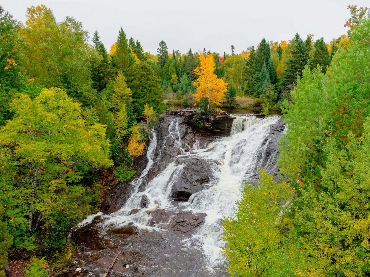 ‘Reviving forests is critical for mitigating global warming and protecting biodiversity, but other ecosystems also have a massive role to play,’ scientists say (Getty Images/iStockphoto)