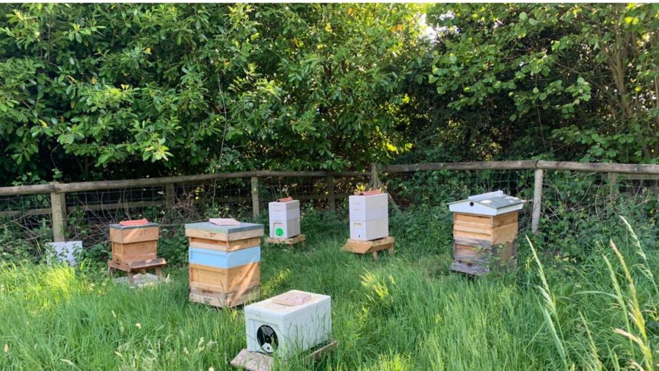 With 52 acres of beautiful grounds, our own Orchard complete with bees