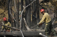 <p>Firefighters cut up partially-burned fuel wood from the area of the Berry Fire in Grand Teton National Park, Wyo., Aug 25, 2016. (AP Photo/Brennan Linsley) </p>