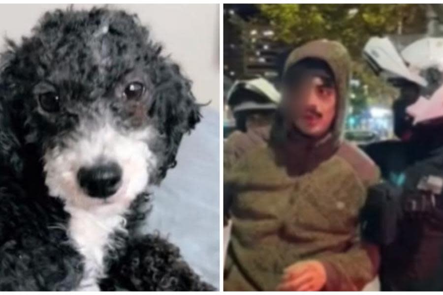 Hombre que lanzó a perrito desde un edificio incumple su arresto domiciliario y recibe fuerte golpiza