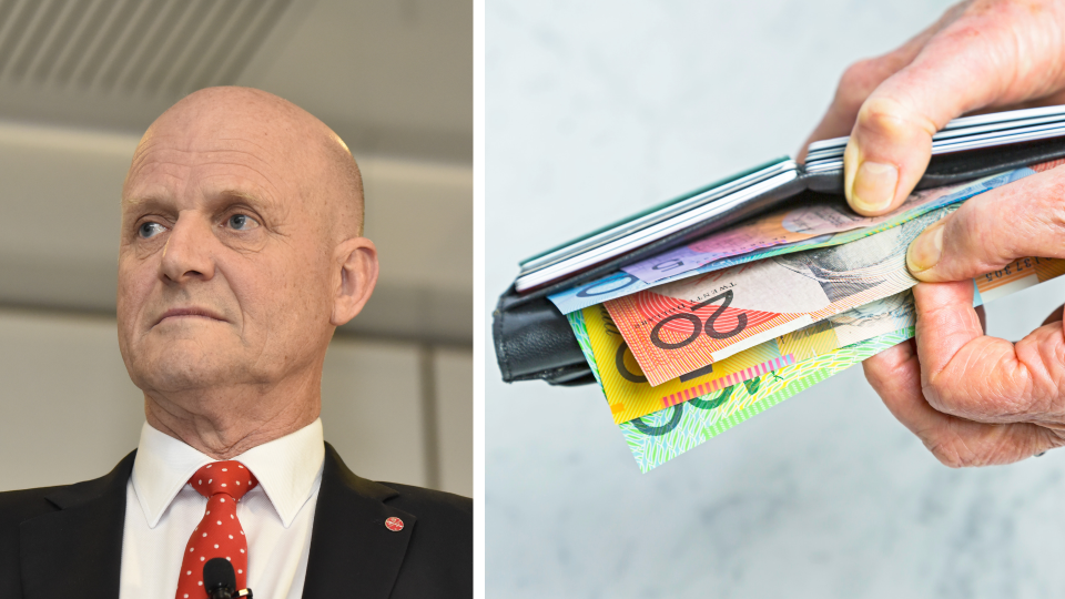 Senator David Leyonhjelm has introduced a bill slashing personal income tax to a flat 20 per cent. Images: Getty