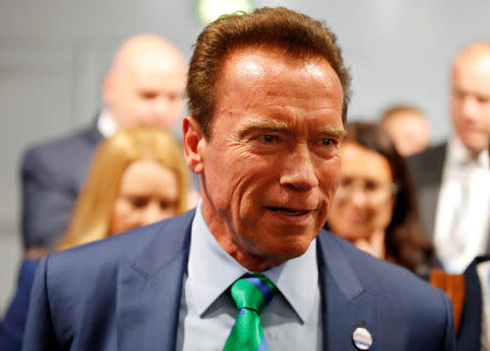 FILE PHOTO: Former California governor and 'Mr. Universe' Arnold Schwarzenegger attends the COP23 UN Climate Change Conference 2017, hosted by Fiji but held in Bonn, Germany, November 12, 2017. REUTERS/Wolfgang Rattay/File Photo