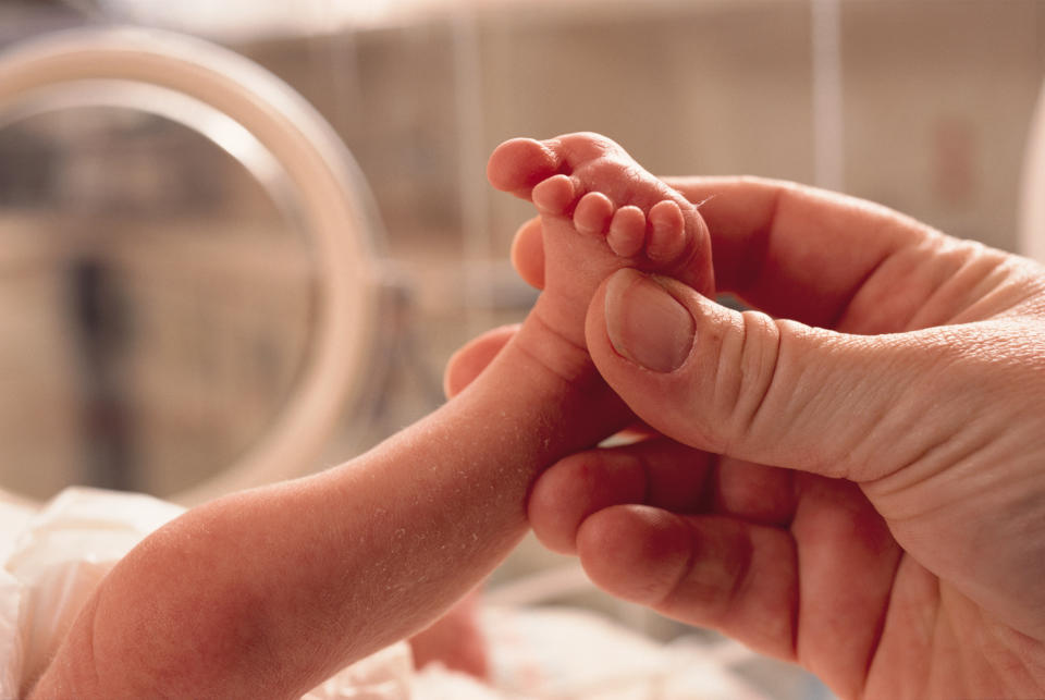 small premature baby lies in an incubator a grown hand reaches in grasping the foot in caring manner