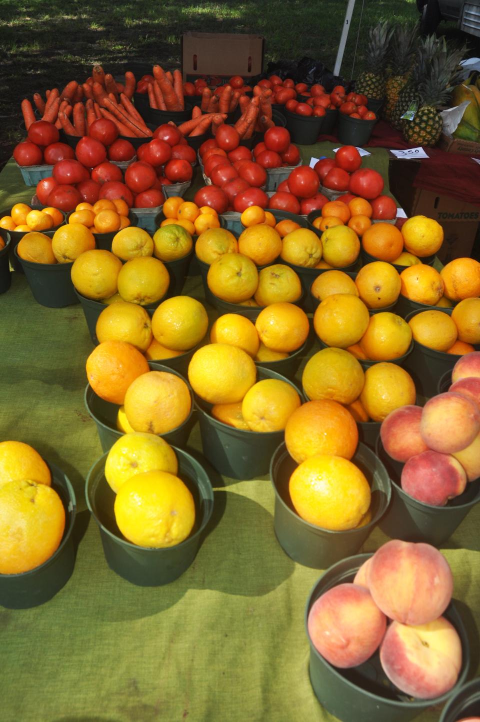 Vegetables and fruit fill the table at the Koreshan State Park Farmer's Market each Sunday. The market had been closed since March 2020 due to the pandemic, but just re-opened in mid-July.