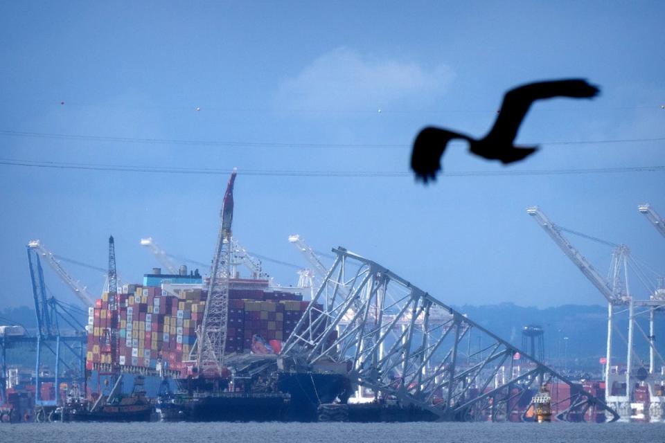 The Dali, pictured on 12 May, still remains in the Patapsco River after it crashed into the Francis Scott Key Bridge in March (Copyright 2024 Associated Press. All rights reserved)