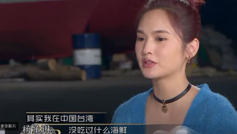 楊丞琳在大陸綜藝節目裡的言論惹毛台灣人。（圖／翻攝自微博）