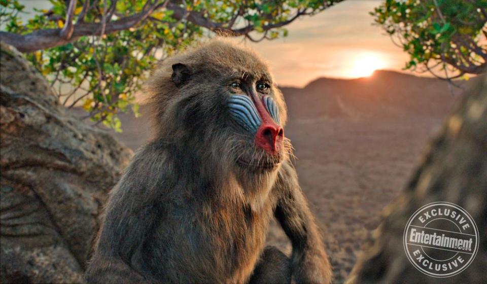 The Lion King: EW visits the set of Disney’s rule-breaking beast of a remake