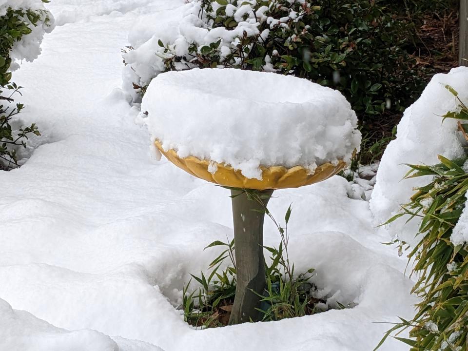 A birdbath resembles a mini ski bowl after a nighttime winter storm dropped around eight inches of snow on Redding on Friday, Feb. 24, 2023.