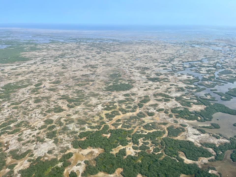 An aerial view of the tundra near the western boundary of Wapusk National Park. The park is mostly made up of wetlands. (Bartley Kives/CBC)