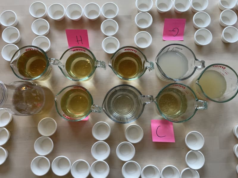 Ginger ale samples taste tested.