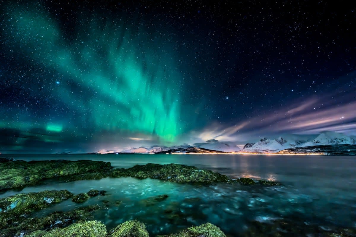 A view of the Northern Lights from the Norwegian coast  (Getty Images/iStockphoto)