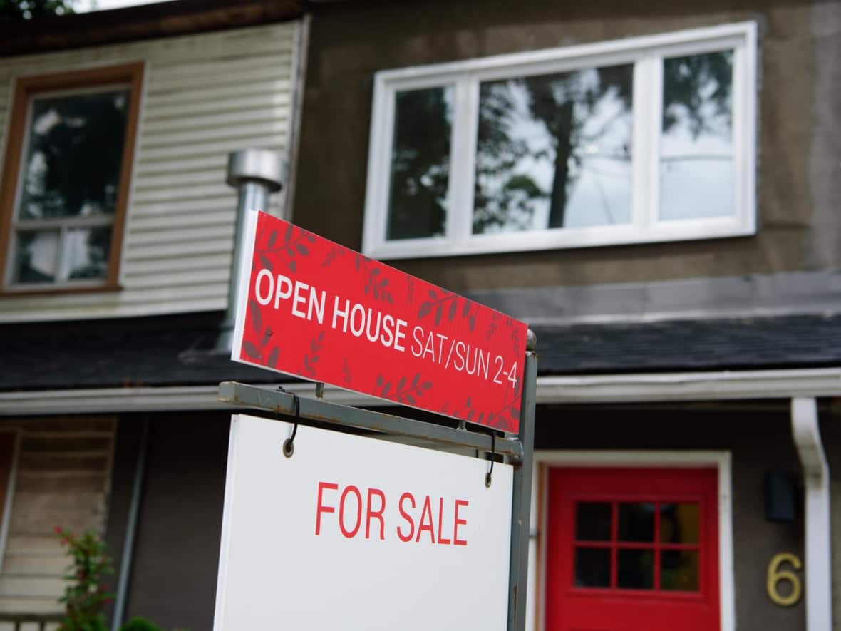 Home sales in Ottawa dropped dramatically last month compared to November 2021, according to the Ottawa Real Estate Board. (Alex Lupul/CBC - image credit)