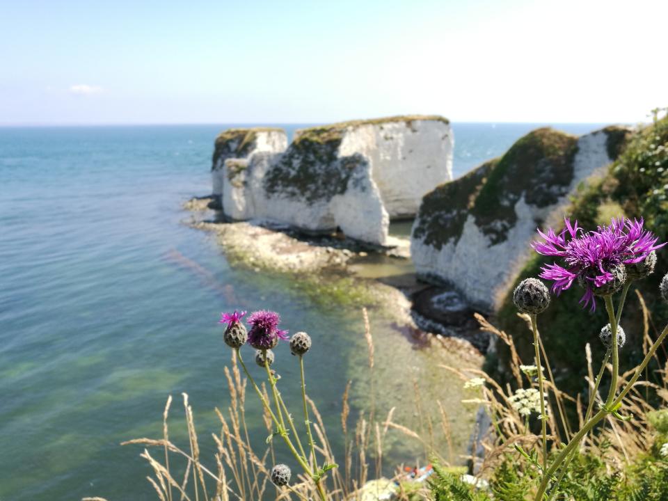 Pampering in Dorset