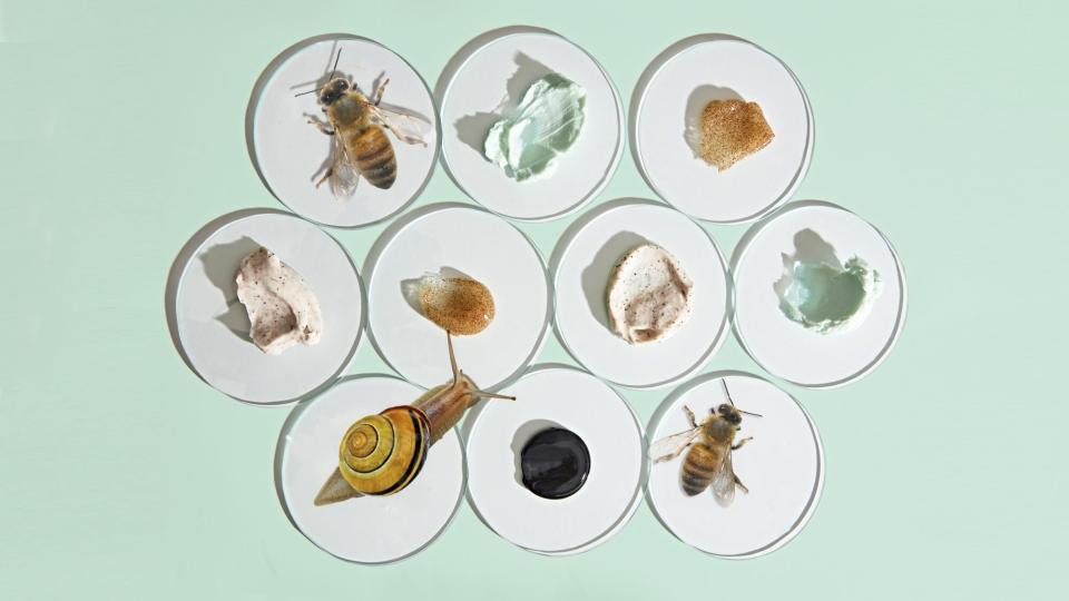 weird anti-aging ingredients: snail, bee, and more