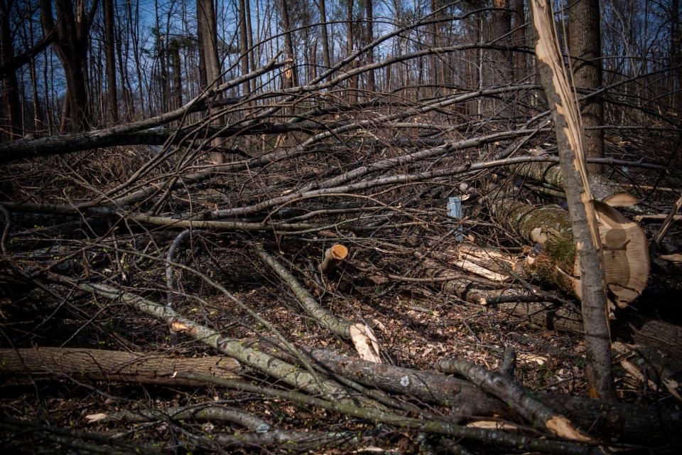 An electrical hookup at a campsite is surrounded by fallen trees and limbs in the campground area at McCormick's Creek State Park on Tuesday, April 4, 2023.