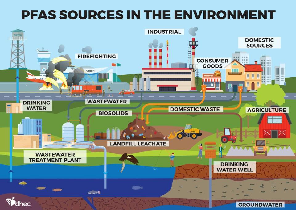 An illustration shows some of the sources of PFAS in the environment. <a href="https://scdhec.gov/environment/polyfluoroalkyl-substances-pfas" rel="nofollow noopener" target="_blank" data-ylk="slk:North Carolina Department of Health and Environmental Control;elm:context_link;itc:0;sec:content-canvas" class="link ">North Carolina Department of Health and Environmental Control</a>