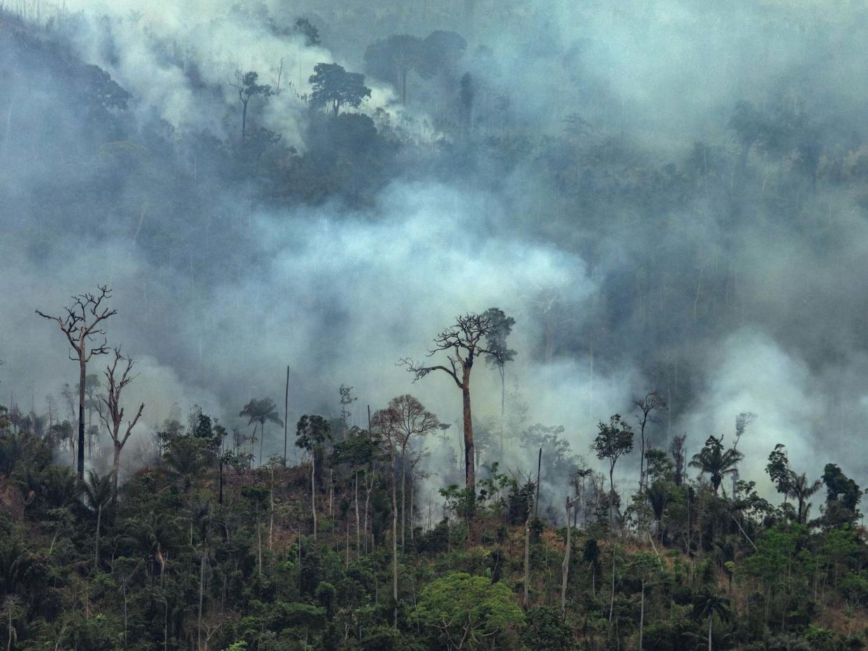 Handout aerial image of smoke billowing from fires in the forest in the Amazon biome in Itaituba, Para State, Brazil, on 23 August 2019: Victor Moriyama/Greenpeace /AFP