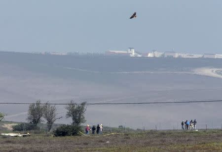 A hawk flies overhead as authorities investigate the crash site where a twin-engine Sabreliner collided with a single-engine Cessna 172 while both were on approach to land at Brown Field, in Otay Mesa, California August 17, 2015. REUTERS/Mike Blake