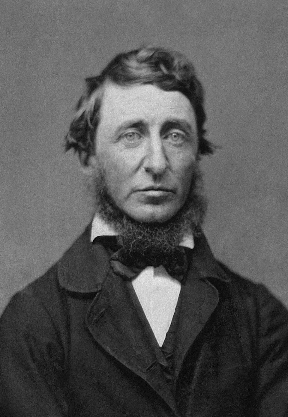 Henry David Thoreau (1817-1862), in daguerrotype taken in 1856.