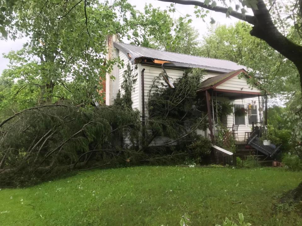 Trees were knocked down at the home of Donna Patterson, who lives on Kilpatrick Drive SE in Newport, south of Uhrichsville.