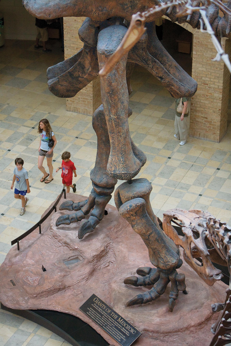 Fernbank Museum of Natural History