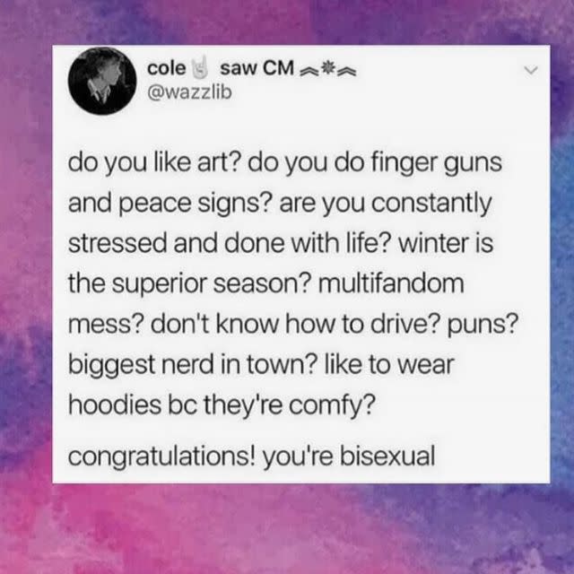 27) Bisexual memes