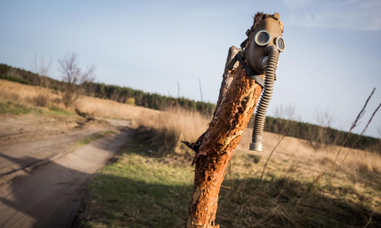 <span>A gas mask on a tree near Kreminna in Ukraine’s eastern Luhansk oblast.</span><span>Photograph: Anadolu/Getty Images</span>