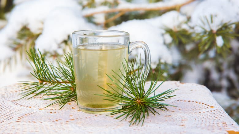 Pine needle tea