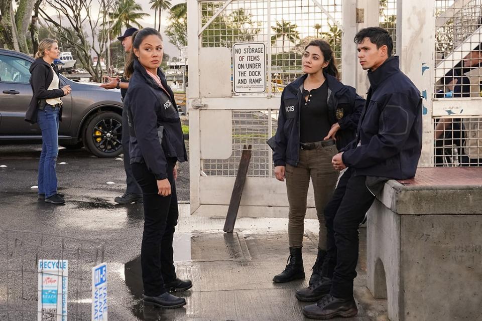 <p><em>NCIS: Hawaii </em>(CBS) - Feb. 12</p>