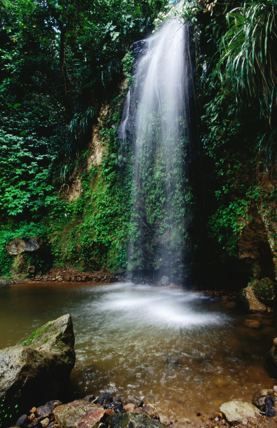 a waterfall in a forest