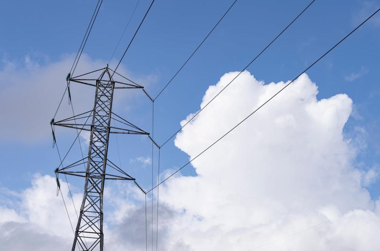 Hydro transmission towers are seen in a file photo.  (Christinne Muschi/The Canadian Press - image credit)