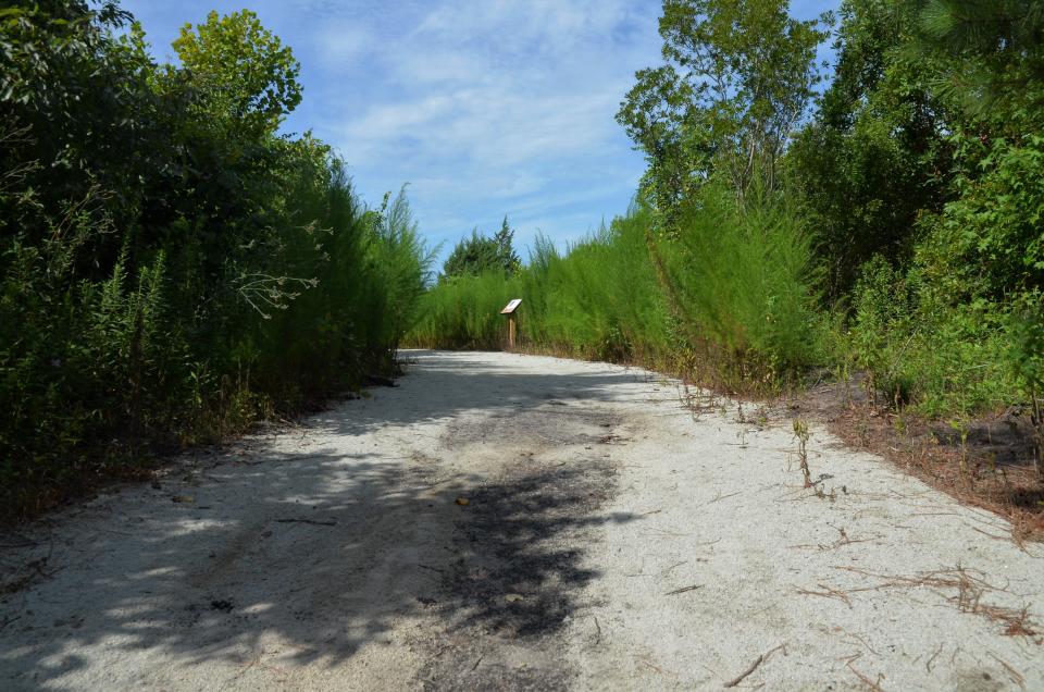 Martin Marietta Park's StoryWalk Trail is a collaboration between the park and Friends of the New Bern Public Library.