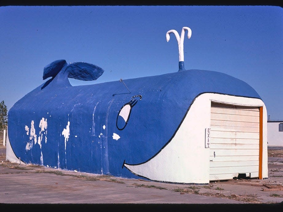 Whale Car Wash