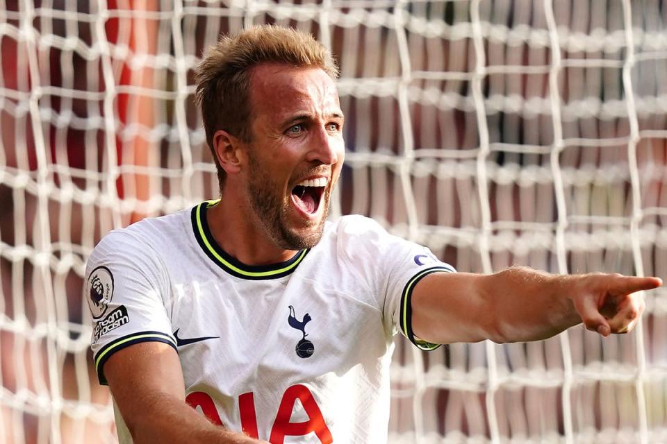 Harry Kane has scored four goals so far this season. (PA)