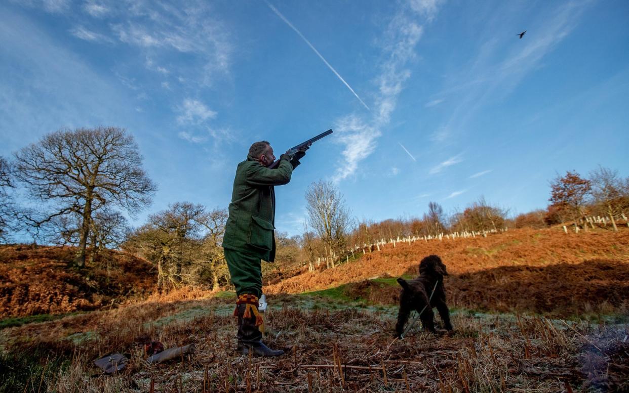 Shooting organisations have said they want to phase out the use of lead by 2025 - CHARLOTTE GRAHAM