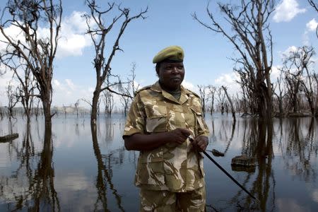 Deputy park warden Maurine Musimbi speaks to a Reuters journalist in front of damage caused by flooding at Lake Nakuru National Park, Kenya, August 18, 2015. T REUTERS/Joe Penney