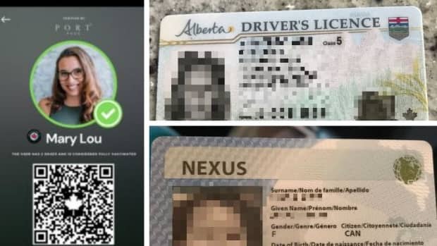 Vaccine passport app Portpass may have exposed users' personal data like drivers' licences and photos. CBC was able to access the photos on the right that belong to users on the app. The IDs have been blurred to protect those users' identities and information. (Portpass/CBC - image credit)